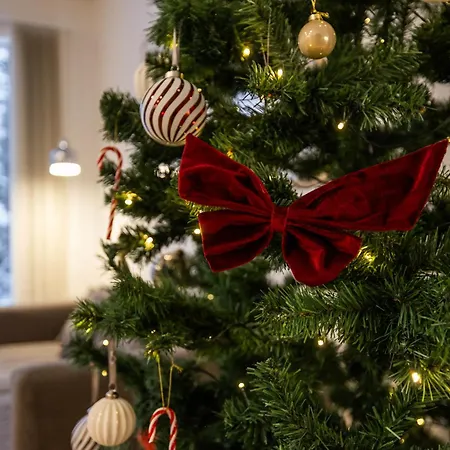 Rainbow * Ροβανιέμι